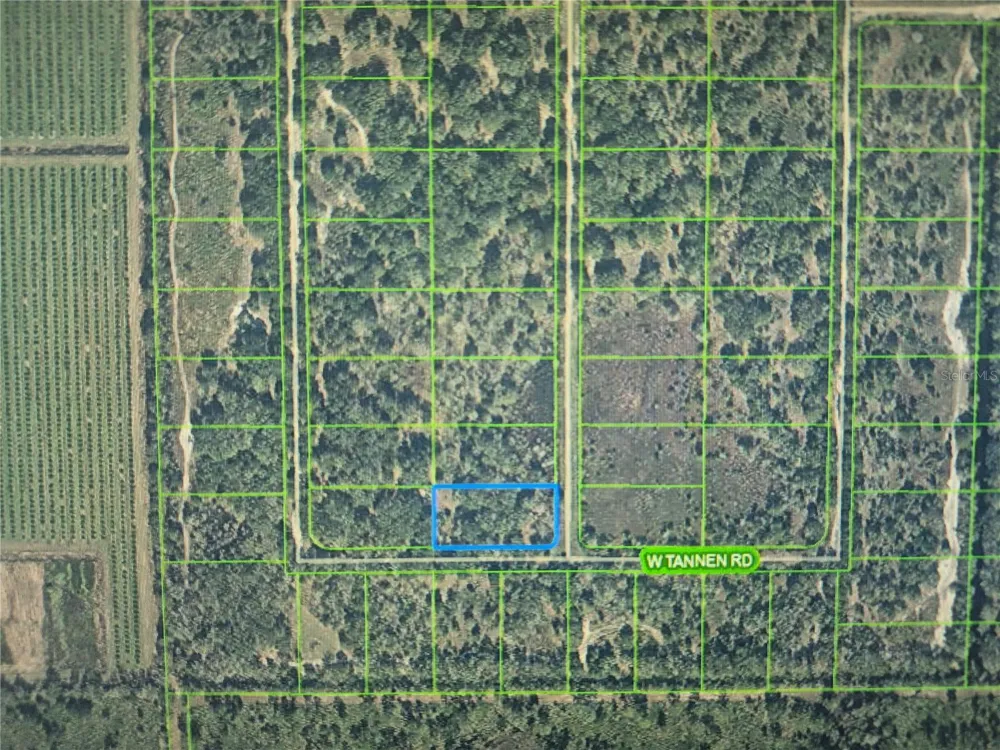 3300 W TANNEN ROAD Avon Park, FL 33825