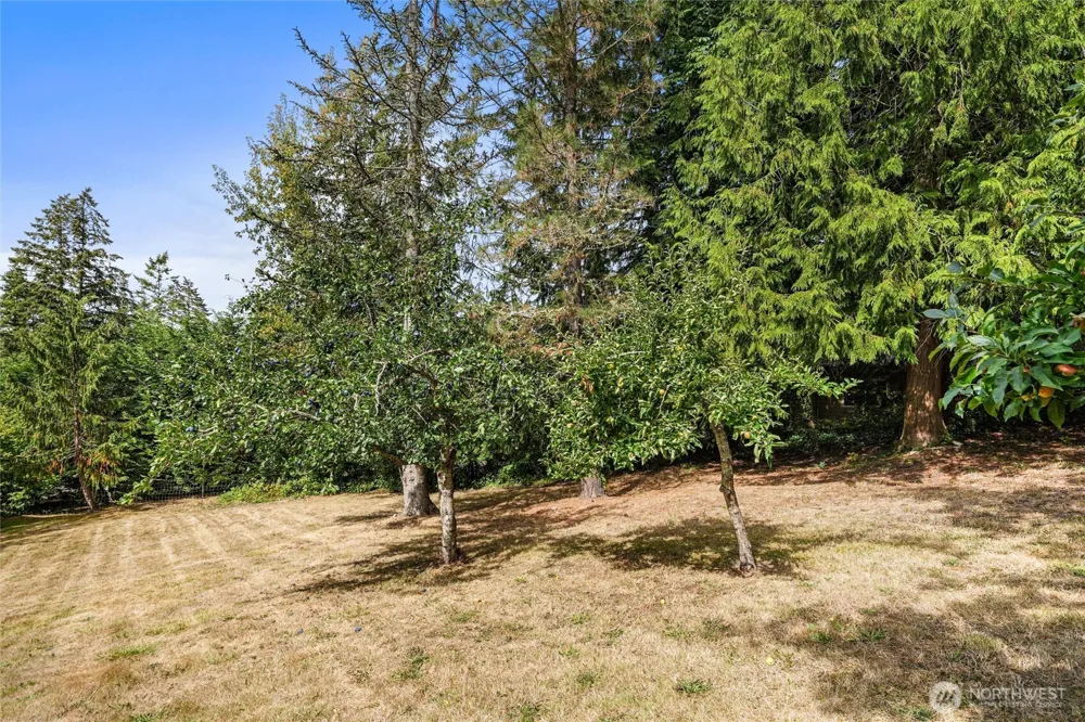 937 Rowe Road Camano Island, WA 98282