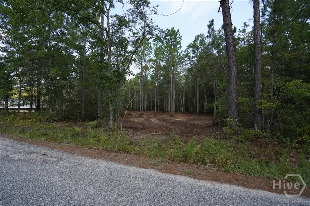 1 Williams Road Guyton, GA 31312