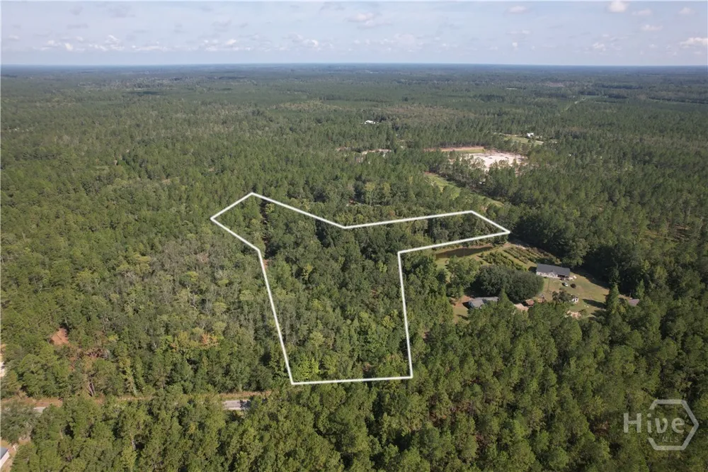 Williams Road Guyton, GA 31312