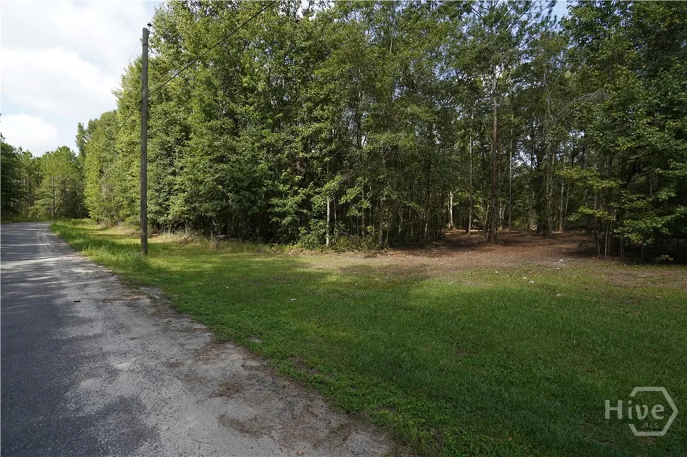 Williams Road Guyton, GA 31312
