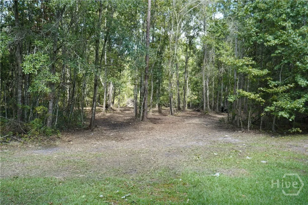 Williams Road Guyton, GA 31312