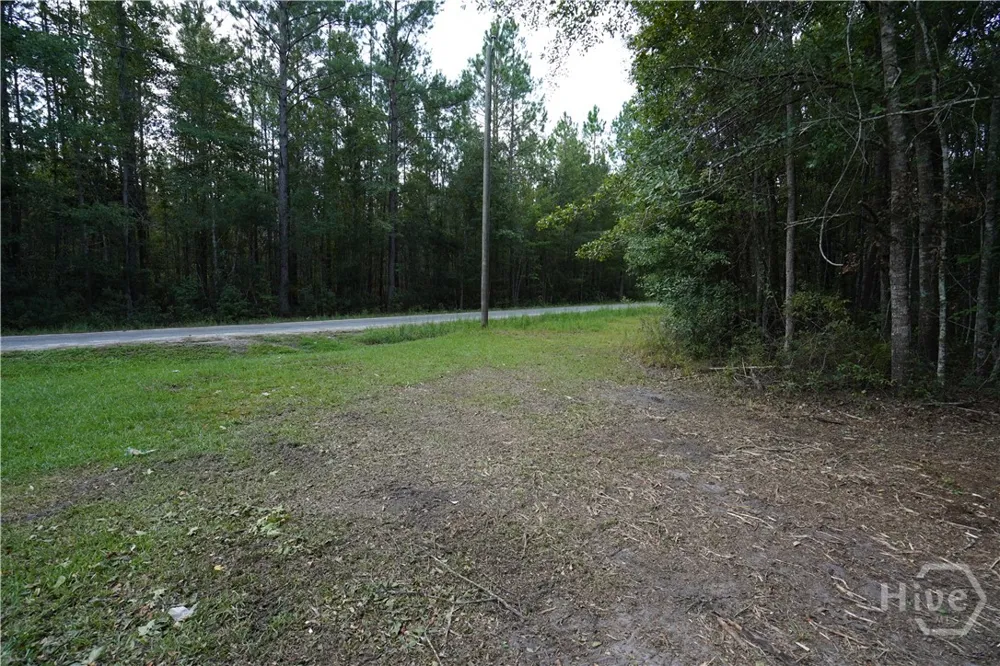 Williams Road Guyton, GA 31312