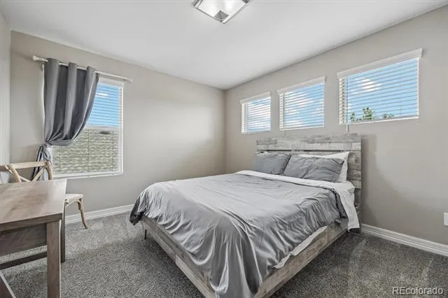 754 Blue Teal Drive Castle Rock, CO 80104