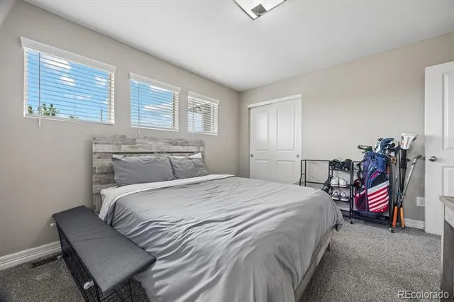 754 Blue Teal Drive Castle Rock, CO 80104