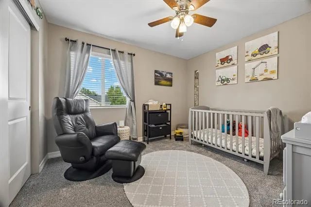 754 Blue Teal Drive Castle Rock, CO 80104