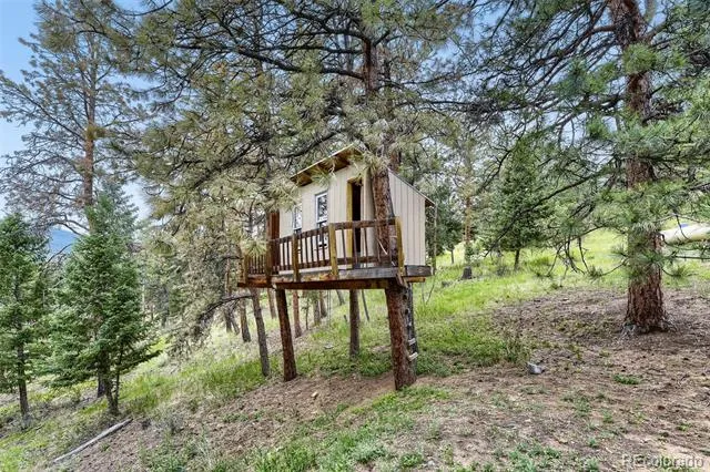 54 Zaza Lane Evergreen, CO 80439