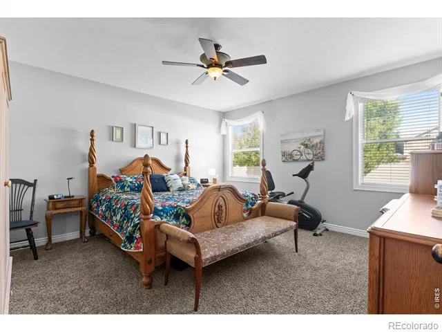 333 Telluride Drive Windsor, CO 80550