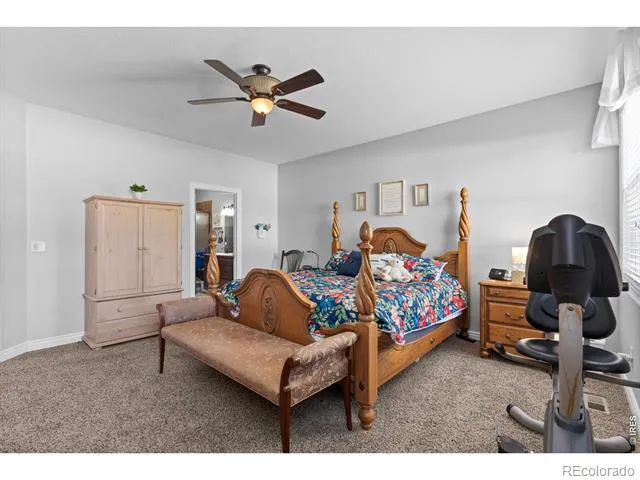 333 Telluride Drive Windsor, CO 80550