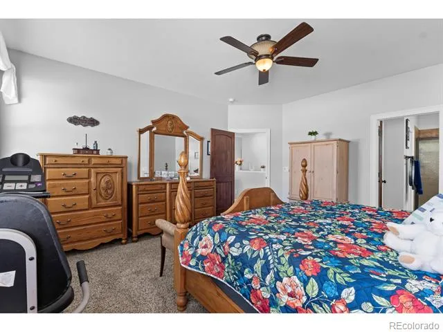 333 Telluride Drive Windsor, CO 80550