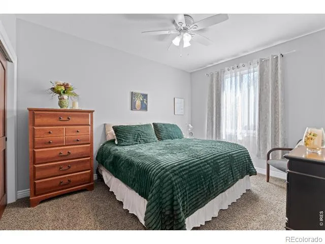 333 Telluride Drive Windsor, CO 80550