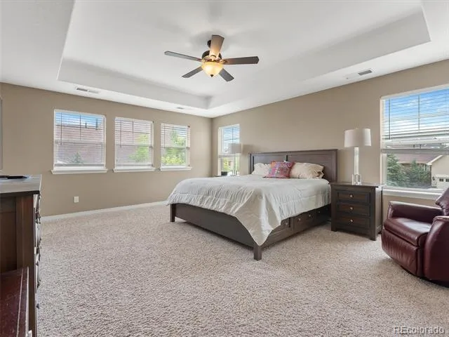 3919 Desert Ridge Circle Castle Rock, CO 80108