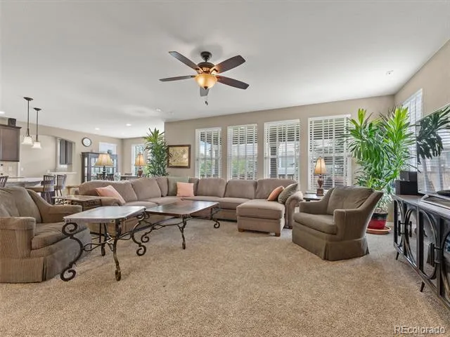 3919 Desert Ridge Circle Castle Rock, CO 80108