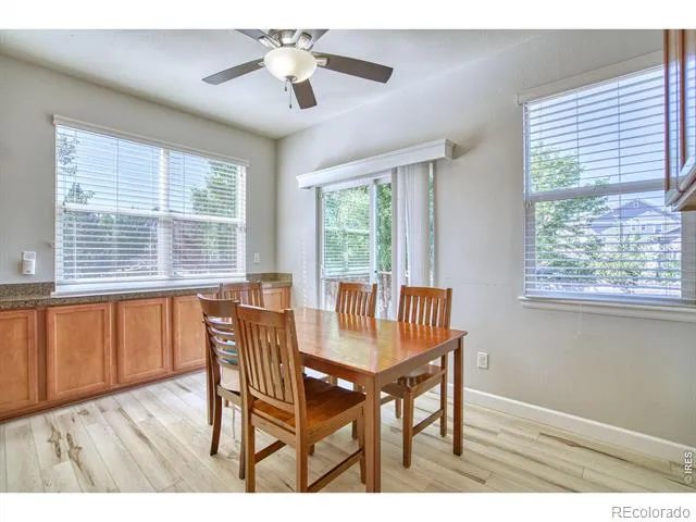1667 Kelmsley Court Windsor, CO 80550
