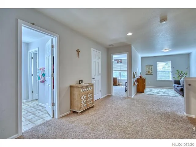 1667 Kelmsley Court Windsor, CO 80550