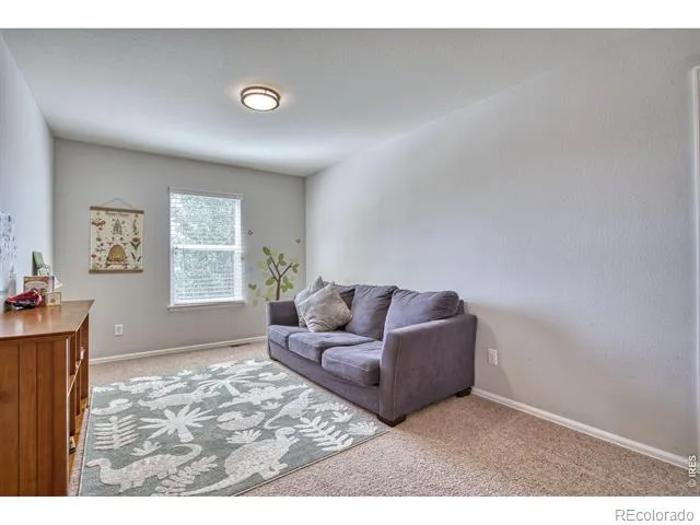 1667 Kelmsley Court Windsor, CO 80550