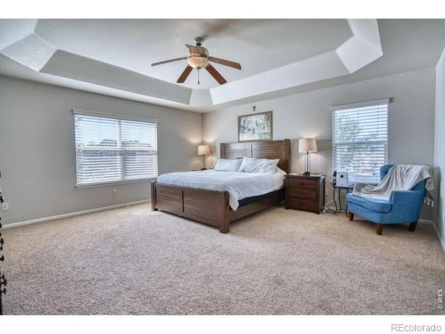 1667 Kelmsley Court Windsor, CO 80550