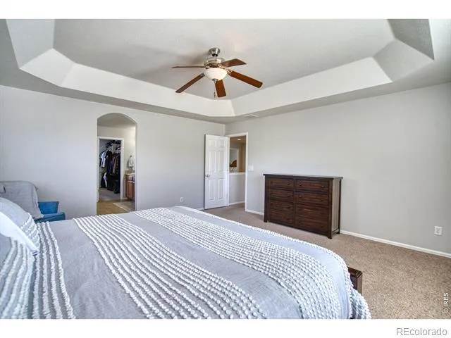 1667 Kelmsley Court Windsor, CO 80550