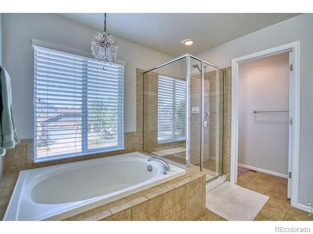 1667 Kelmsley Court Windsor, CO 80550