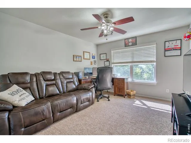 1667 Kelmsley Court Windsor, CO 80550