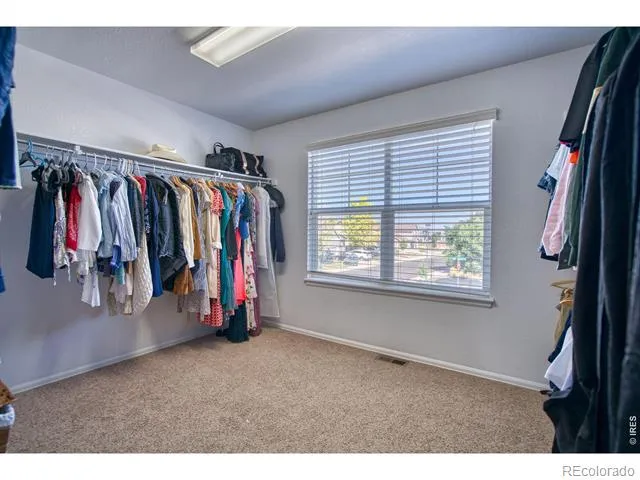 1667 Kelmsley Court Windsor, CO 80550