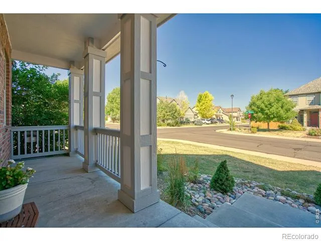 1667 Kelmsley Court Windsor, CO 80550
