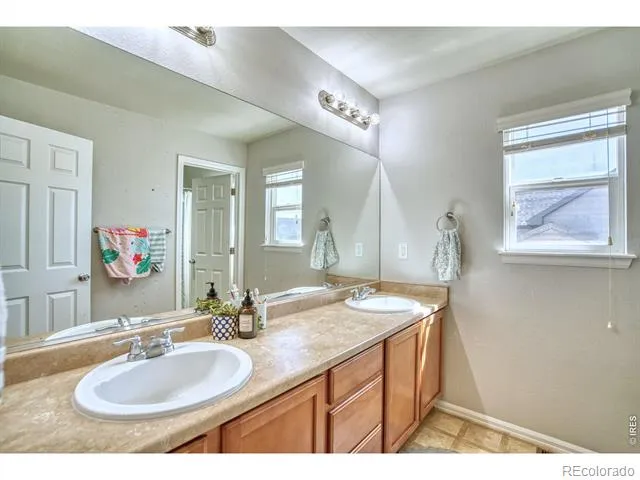 1667 Kelmsley Court Windsor, CO 80550