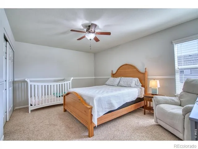 1667 Kelmsley Court Windsor, CO 80550