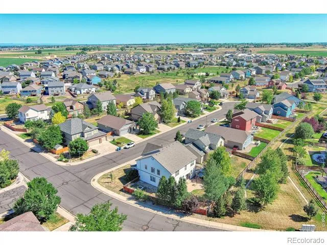 1667 Kelmsley Court Windsor, CO 80550