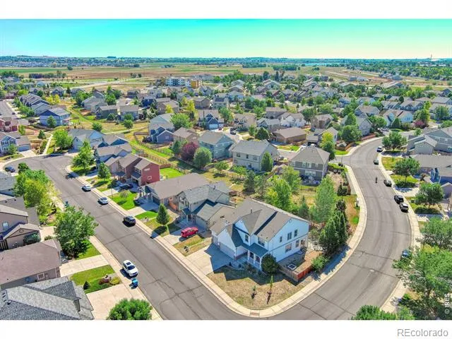 1667 Kelmsley Court Windsor, CO 80550