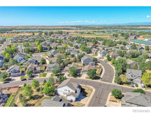 1667 Kelmsley Court Windsor, CO 80550