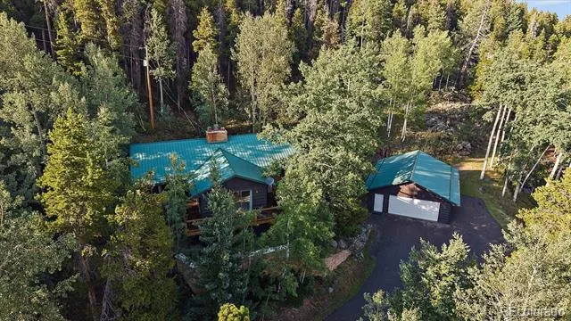 66 Lodgepole Circle Evergreen, CO 80439