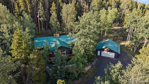 66 Lodgepole Circle