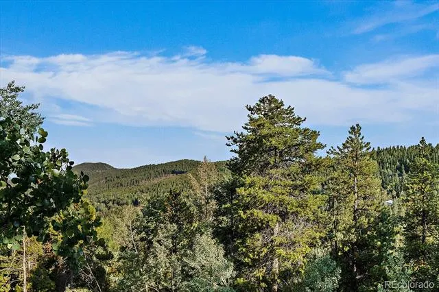 66 Lodgepole Circle Evergreen, CO 80439