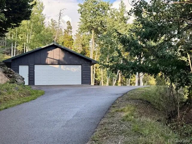 66 Lodgepole Circle Evergreen, CO 80439