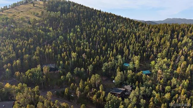 66 Lodgepole Circle Evergreen, CO 80439