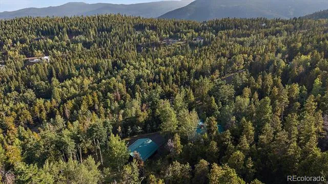 66 Lodgepole Circle Evergreen, CO 80439