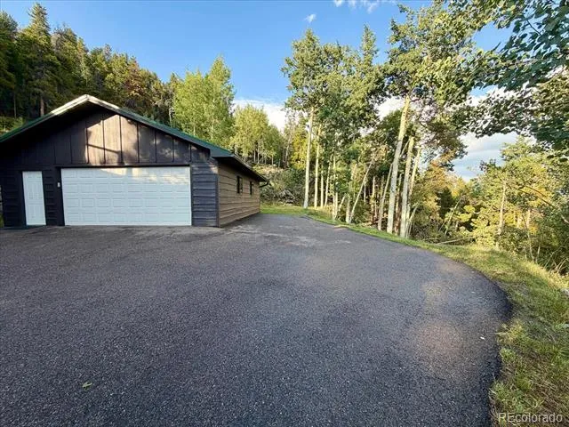 66 Lodgepole Circle Evergreen, CO 80439