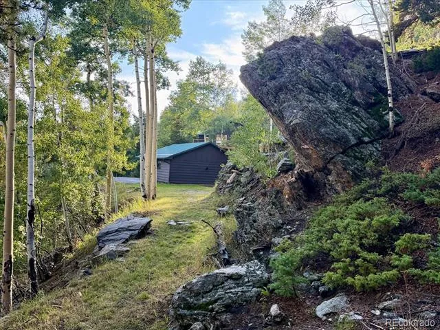 66 Lodgepole Circle Evergreen, CO 80439