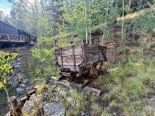 66 Lodgepole Circle Evergreen, CO 80439
