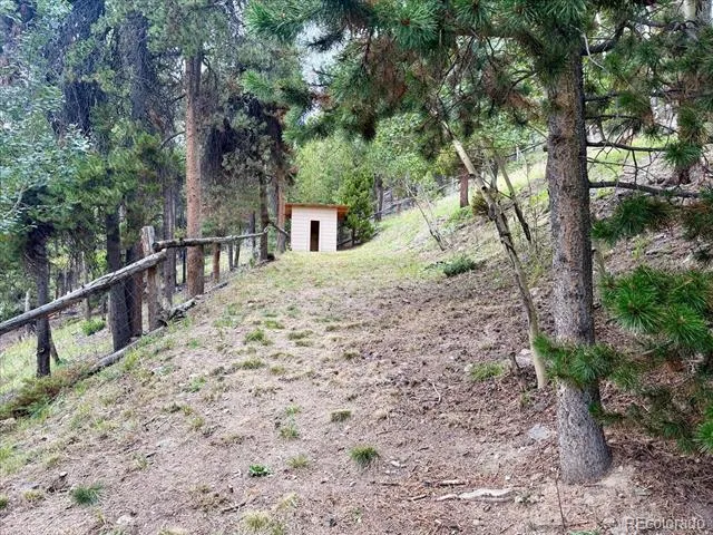66 Lodgepole Circle Evergreen, CO 80439