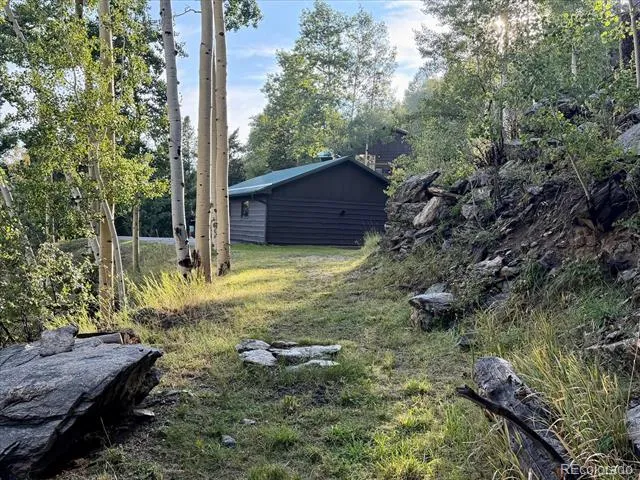 66 Lodgepole Circle Evergreen, CO 80439