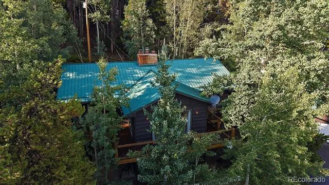 66 Lodgepole Circle Evergreen, CO 80439