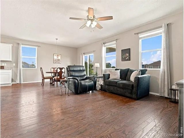 904 Charlton Drive Windsor, CO 80550