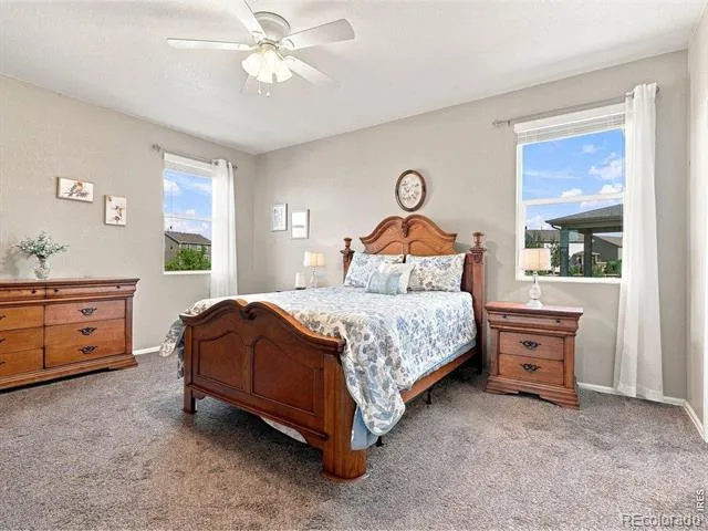 904 Charlton Drive Windsor, CO 80550