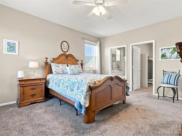 904 Charlton Drive Windsor, CO 80550