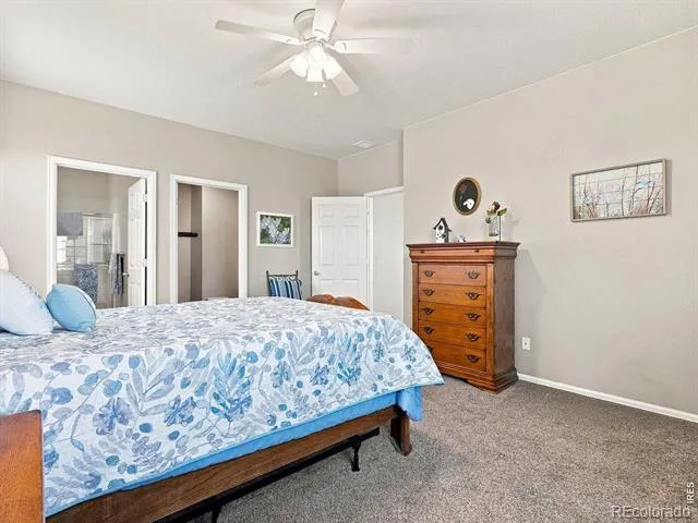 904 Charlton Drive Windsor, CO 80550