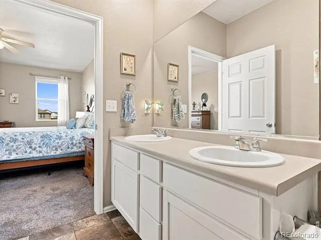 904 Charlton Drive Windsor, CO 80550
