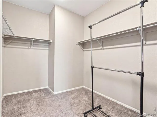 904 Charlton Drive Windsor, CO 80550