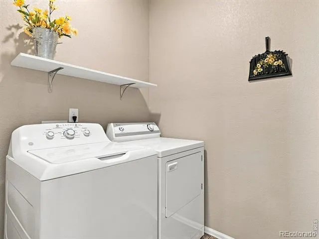 904 Charlton Drive Windsor, CO 80550